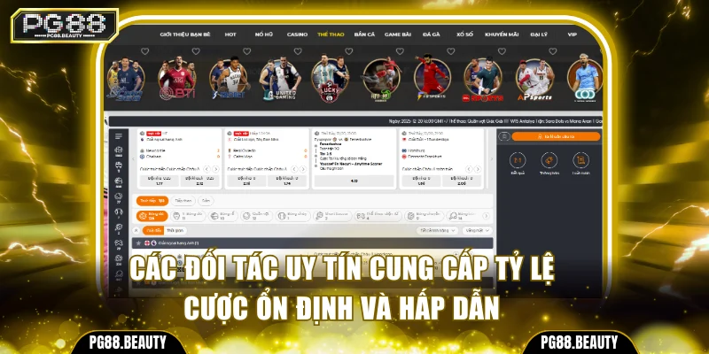 Các đối tác uy tín cung cấp tỷ lệ cược ổn định và hấp dẫn