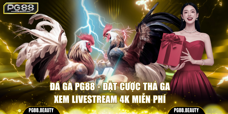 Đá Gà PG88 - Đặt Cược Thả Ga, Xem Livestream 4k Miễn Phí