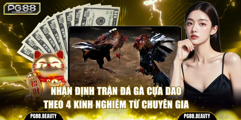 Nhận định trận đá gà cựa dao theo 4 kinh nghiệm từ chuyên gia